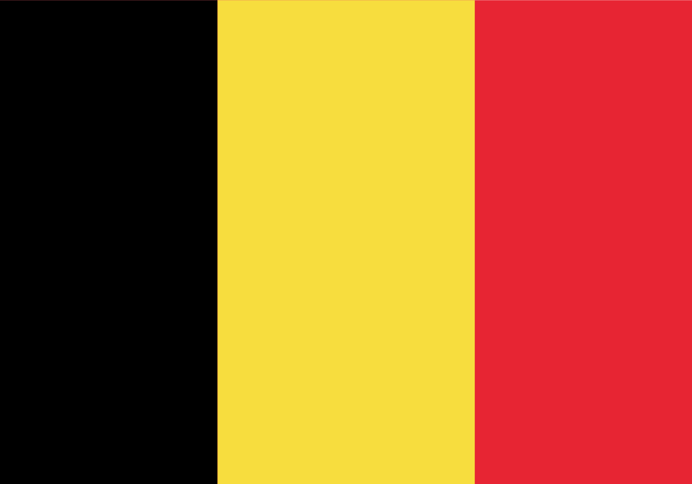 The national flag of Germany.