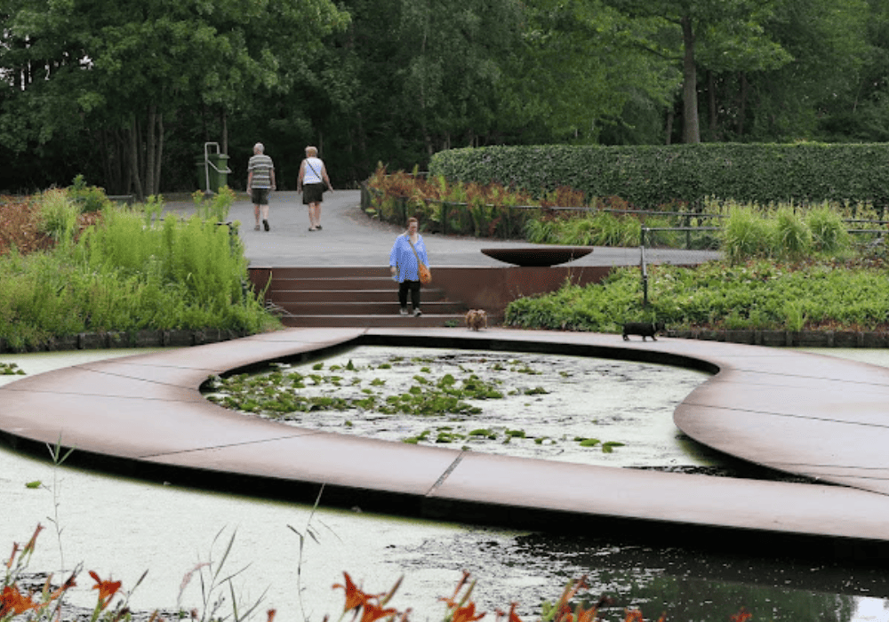 People walking through a lush park.