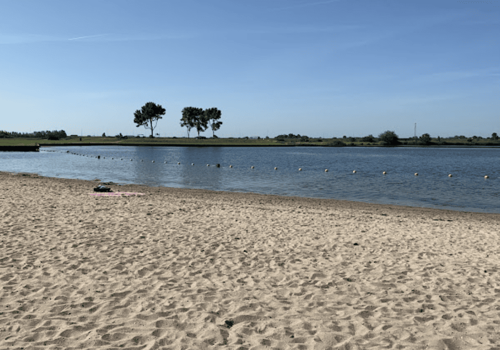 Sandy beach next to calm water.